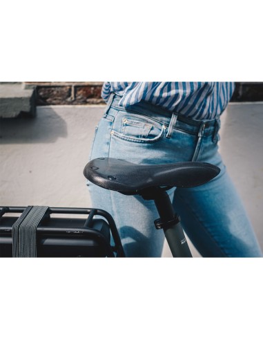 Brooks zadel C67 Cambium Black