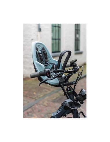 Thule voorzitje Yepp 2 Mini alaska