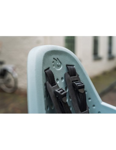 Thule voorzitje Yepp 2 Mini alaska