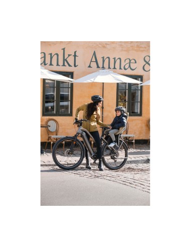 Thule achterzitje Yepp 2 Maxi drager bev. fennel tan