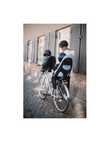 Thule achterzitje Yepp 2 Maxi drager bev. alaska