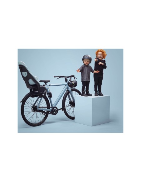 Thule achterzitje Yepp 2 Maxi frame bev. alaska