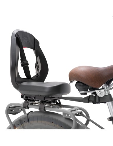 Thule Yepp achterzitje Junior Budget black