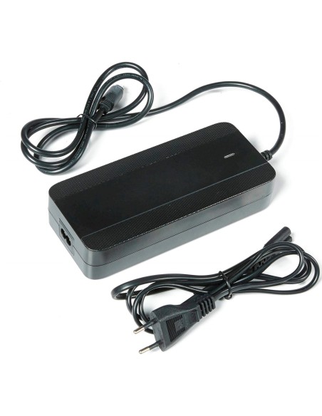 Lader 2A Sport Drive 36V