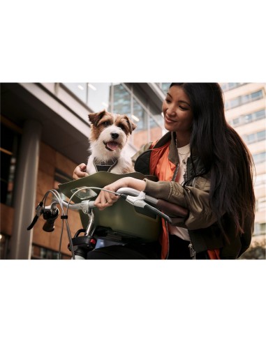 Kvisp hondenfietsmand met harnas M forest green