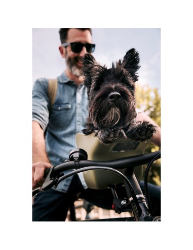 Kvisp hondenfietsmand met harnas M forest green