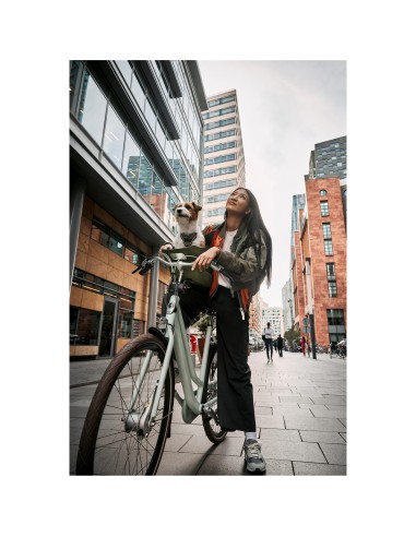 Kvisp hondenfietsmand met harnas M midnight gray