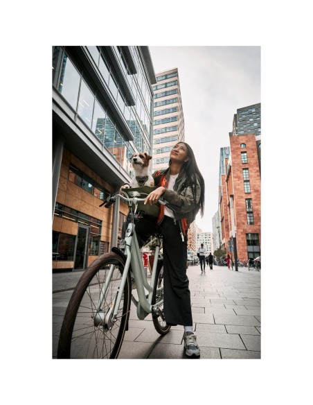 Kvisp hondenfietsmand met harnas M midnight gray