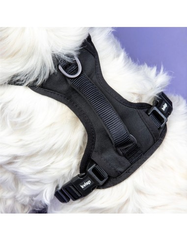 Kvisp veiligheidstuigje maat S zwart