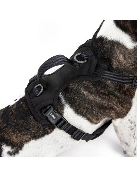 Kvisp veiligheidstuigje maat M zwart