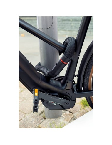 Abus kettingslot Goose Lock 6206K/110 black