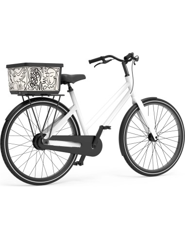 Basky fietsmand 2.0 Picasso