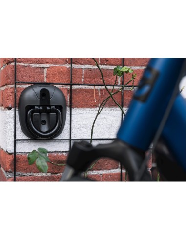 Axa muur/vloer anker ART4 grijs