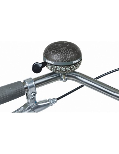 Basil bel Boheme charcoal