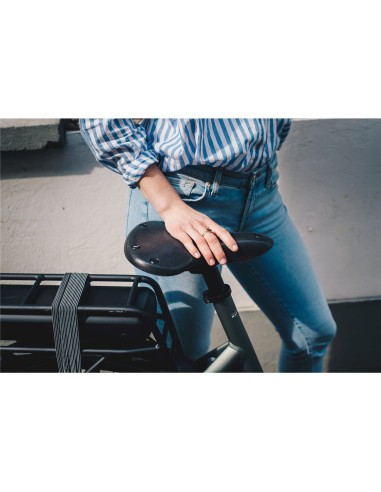 Brooks zadel C67 Cambium Black