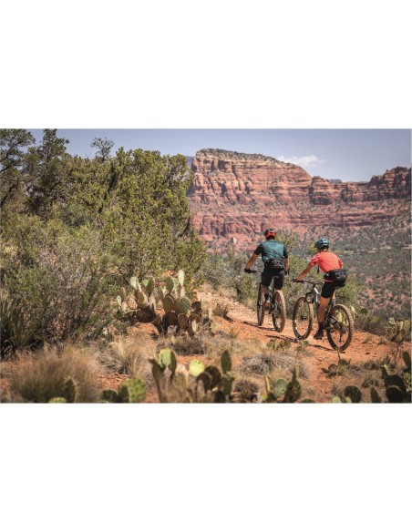 Ergon heuptas BA hip pack