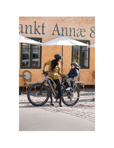 Thule achterzitje Yepp 2 Maxi drager bev. fennel tan