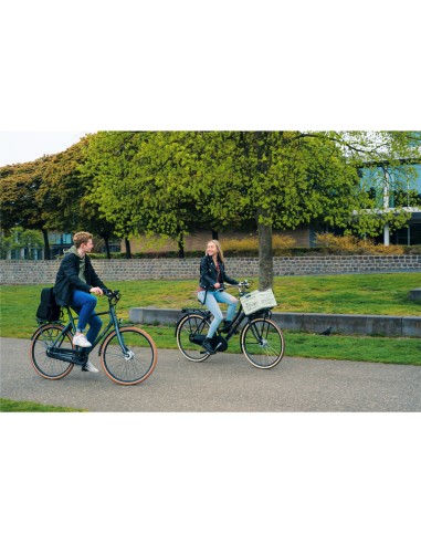 Steco Monkey-Mee zwart