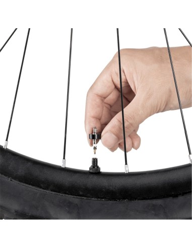 Topeak ventiel verlenger set frans 70mm