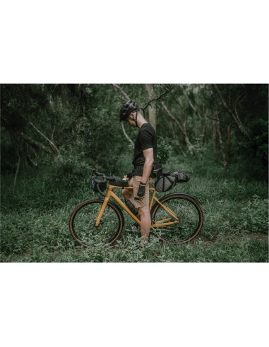 Topeak frametas fastfuel bag