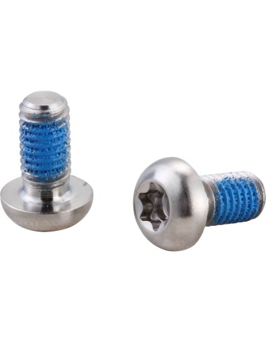 Elvedes remschijfboutjes titanium (6)