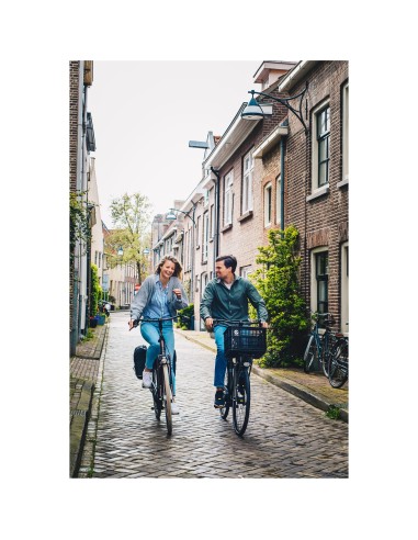 Cortina Krat Dubai 29,5L zwart 45x35x25cm