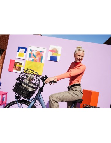 Cortina Hondenmand Manchester AVS 36L zwart 32x43x26cm