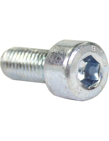 Bofix doos inbusbout M8x20 (12 stuks)