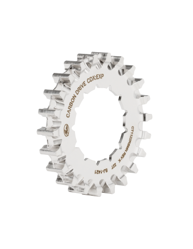 Gates CDX achtertandwiel 22 tands Rohloff Splined