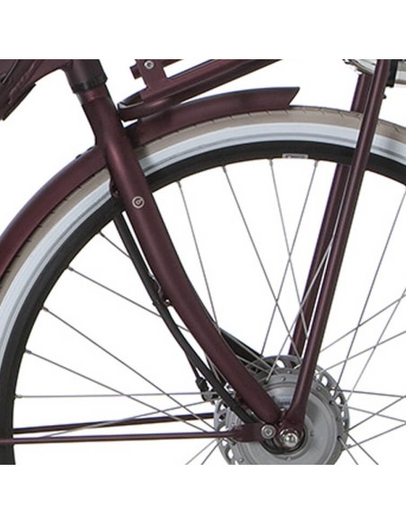 Cortina voorvork E-U4 D FM teak brown matt
