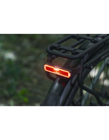 Sigma achterlicht Eox RL Brake E-bike 6-48v 50mm