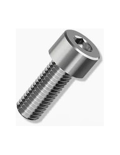 Inbusbout M10x40 RVS (1 stuk)