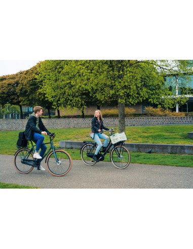 Steco Monkey-Mee zwart