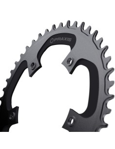 Praxis kettingblad 1x E-Ring 110BCD M8 42t