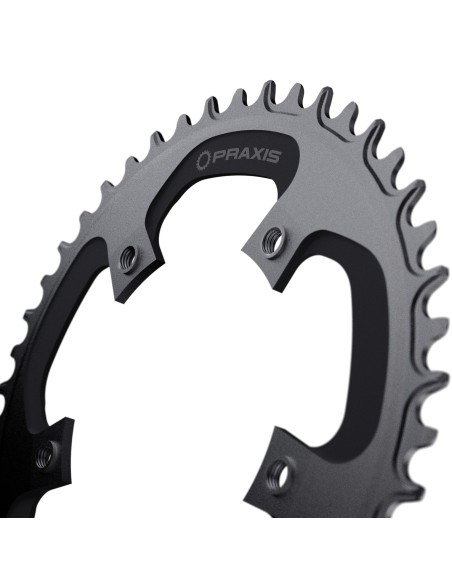 Praxis kettingblad 1x E-Ring 110BCD M8 46t