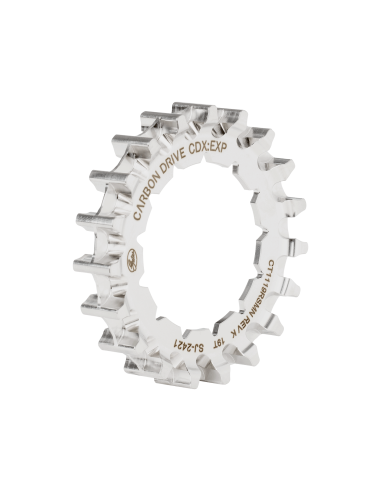 Gates CDX achtertandwiel 19 tands Rohloff Splined