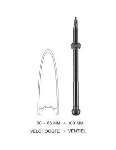 Schwalbe ventiel tubeless 100 mm set 2 stuks