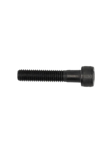 Enviolo inbusbout M8 x 1,25 x 40 voor MA 12X148