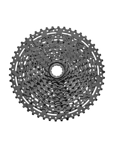 Tektro cassette 10v 11/50 zwart