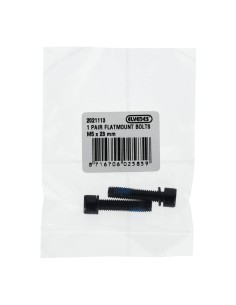 Elvedes 1 paar flatmount bouten M5 × 23 mm