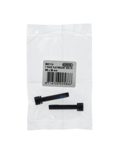 Elvedes 1 paar flatmount bouten M5 × 28 mm