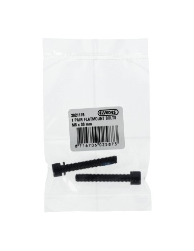 Elvedes 1 paar flatmount bouten M5 × 33 mm