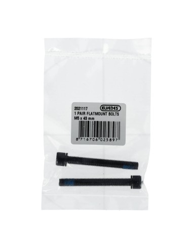Elvedes 1 paar flatmount bouten M5 × 43 mm