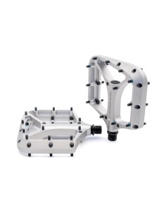 Praxis pedalen Brodium G2 zilver