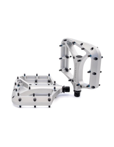 Praxis pedalen Brodium G2 zilver
