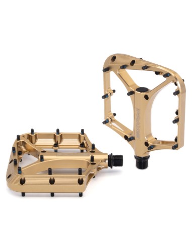 Praxis pedalen Brodium SL G2 goud