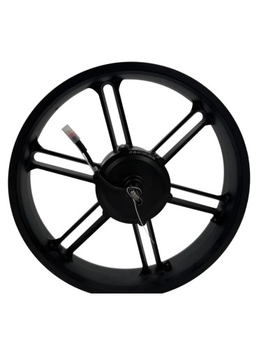 EB-Parts achterwiel motor fatbike v20 250W