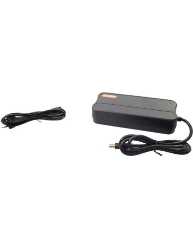 Lader 2A Bafang 43v