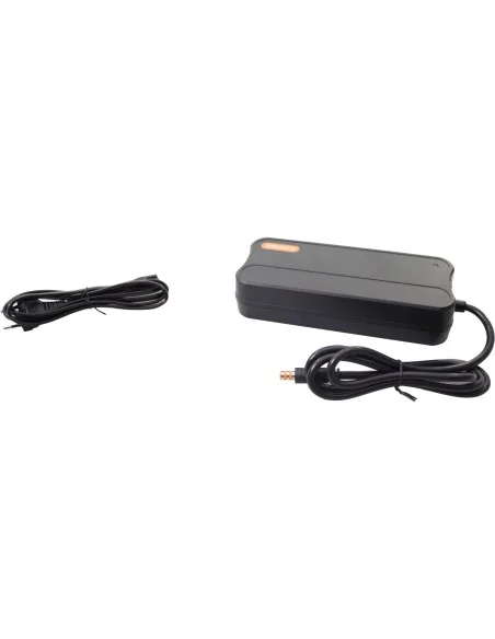 Lader 2A Bafang 43v