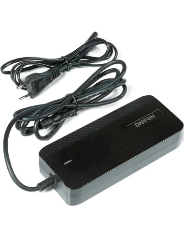 LADER 2A Geintegreerde DT Accu Darfon STEPS Type C